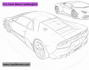 Fun Facts About Lamborghini
