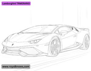 Lamborghini TRMERARIO