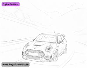 Engine Options