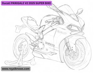 Ducati PANIGALE V2 2025 SUPER BIKE