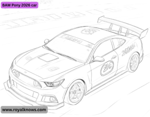 BAW Pony 2026