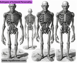 Subtypes of Schizoid Personality